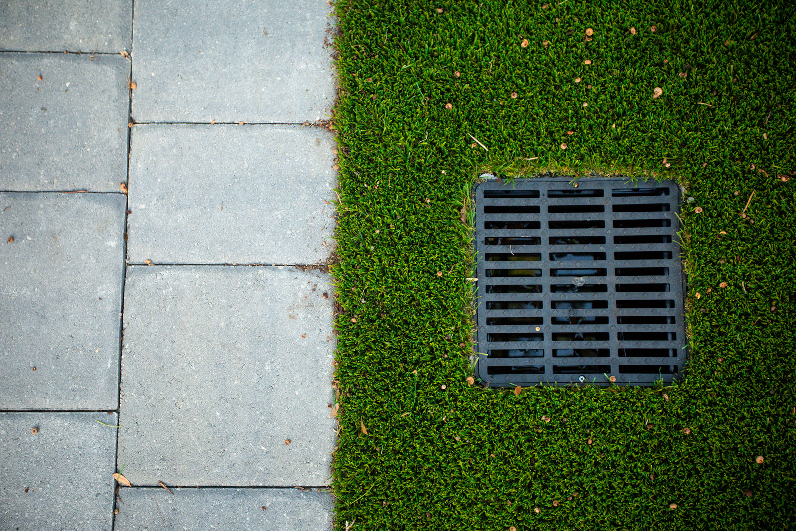 7 Signs That You Have A Drainage Problem In Your Orlando FL Yard